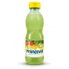 MINERVA 250 CC JUGO DE LIMON
