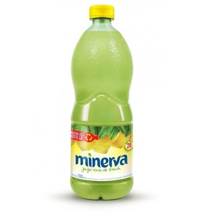 MINERVA 1 LTS LIMON