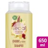 SEDAL SHAMPOO 650 ML JENGIBRE Y RICINO IA 