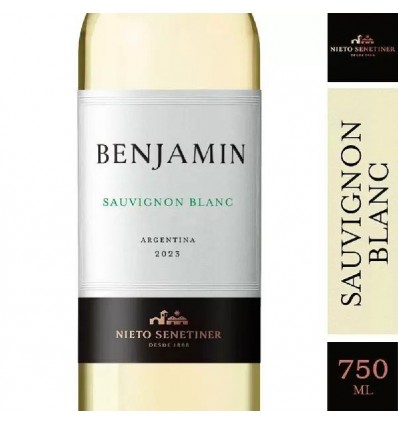 VINO BENJAMIN SAUVIGNON BLANCO 750ML