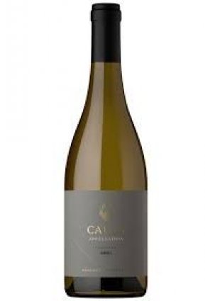 VINO ESPUMANTE CADUS APPELLATION TUNUYAN 750ML