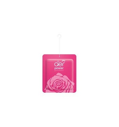 AROMATIZANTE AER POCKET ENCANTO DE ROSAS 10G