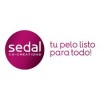 SEDAL ACONDICIONADOR CERAMIDAS DP 620ML